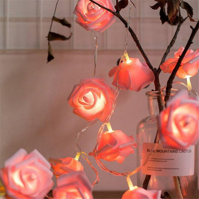Rose Pastely Original String Lights.