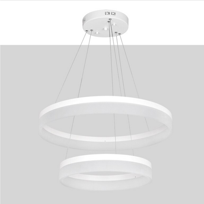 Circular Ring Shaped Ceiling Light Fixture