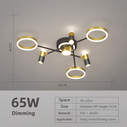 Remote Control Atmosphere Ceiling Light For House