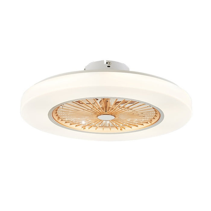 Modern Minimalist LED Lighting Remote Control Dimming Fan Lamp