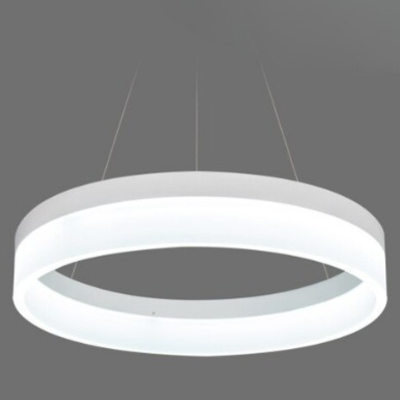 Circular Ring Shaped Ceiling Light Fixture