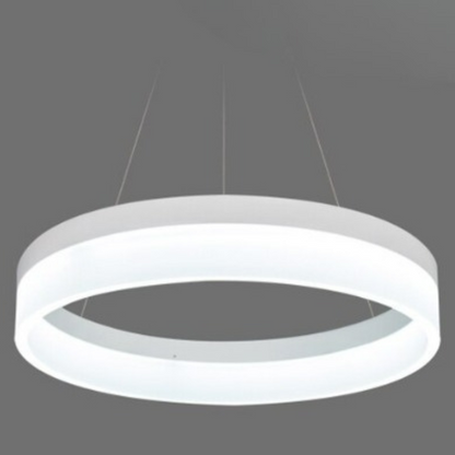 Circular Ring Shaped Ceiling Light Fixture