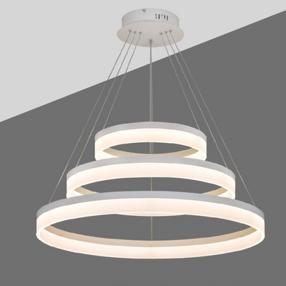 Circular Ring Shaped Ceiling Light Fixture