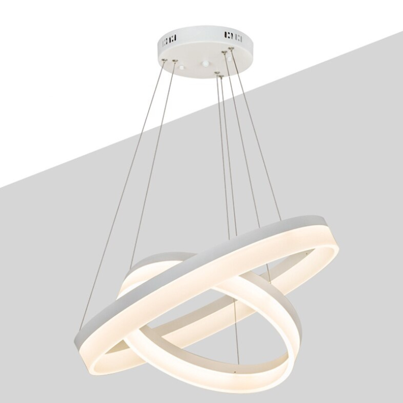 Circular Ring Shaped Ceiling Light Fixture