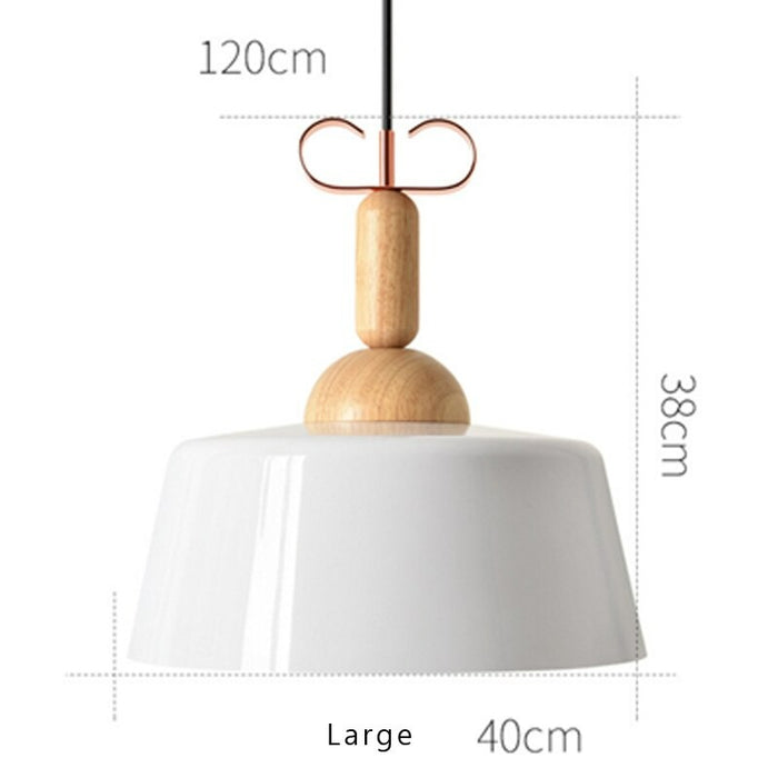 Single Head Decorative Pendant Lamp