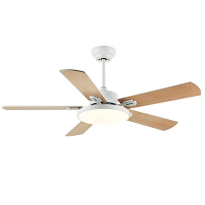 Minimalist Design Ceiling Fan With Light