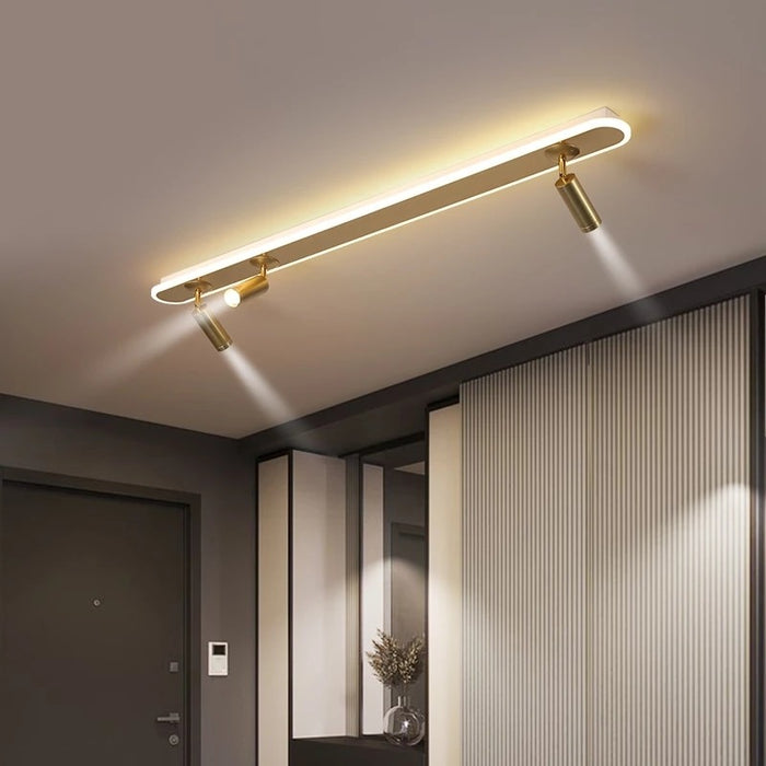 Acrylic White Strip Led Ceiling Lights With Spotlight