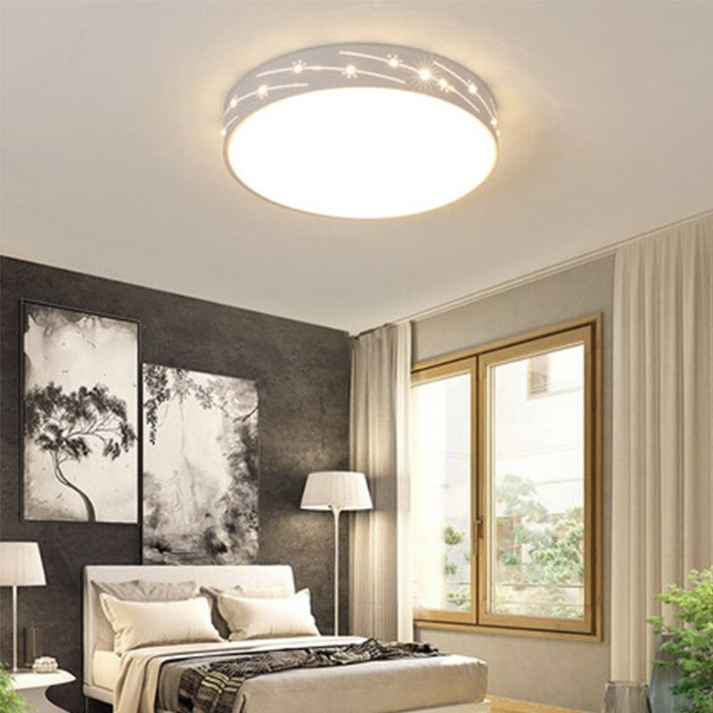 Circular Iron Art LED Ceiling Light