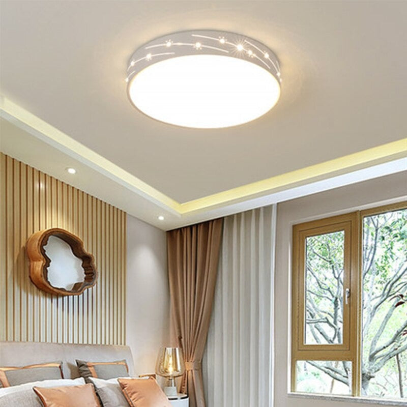 Circular Iron Art LED Ceiling Light