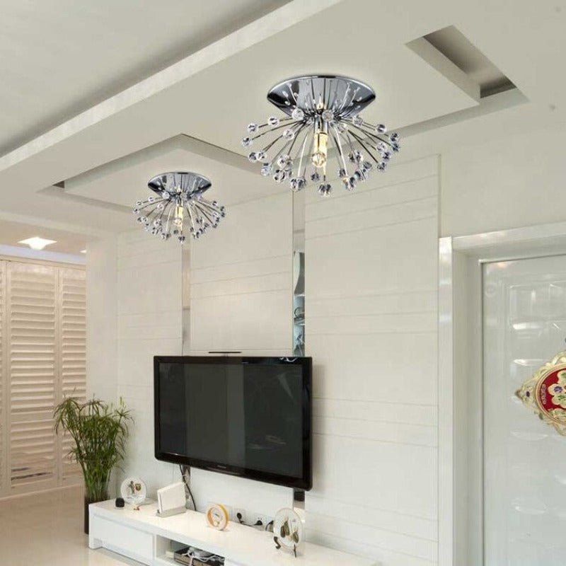 Dandelion Design Stainless Steel Bulb Ceiling Light