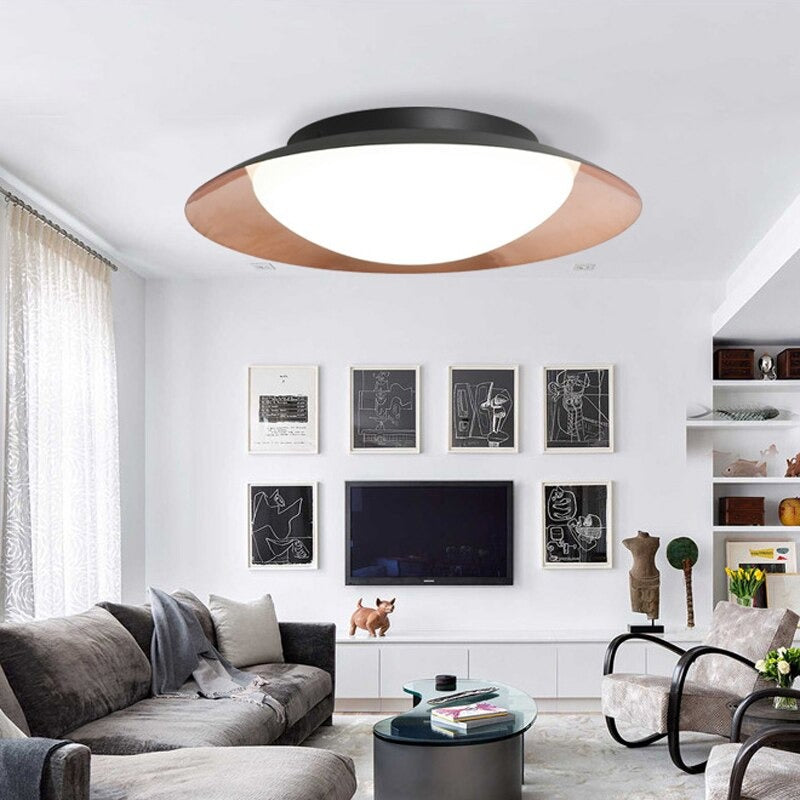 Modern Creative Round Iron Paint Frosted Glass Ceiling Lamp