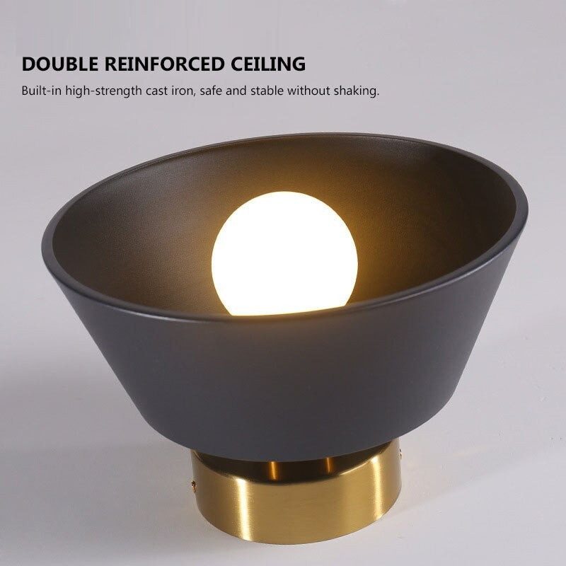 LED Home Decor Ceiling Light