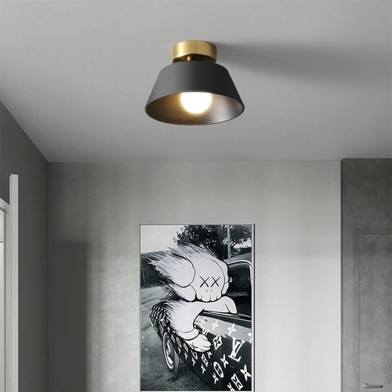 LED Home Decor Ceiling Light