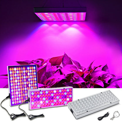 Plant Greenhouse Grow Light LED