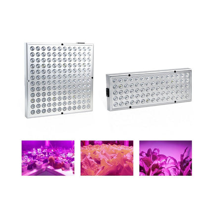 Plant Greenhouse Grow Light LED