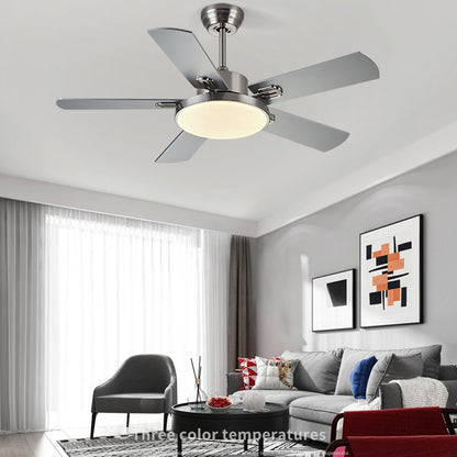 Minimalist Design Ceiling Fan With Light