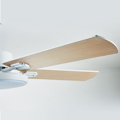 Minimalist Design Ceiling Fan With Light