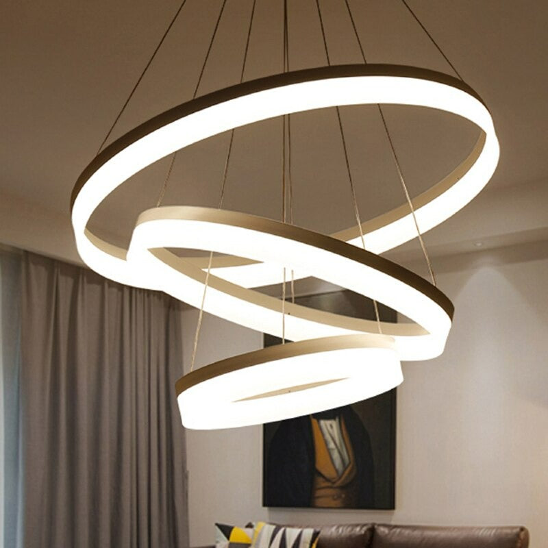 Circular Ring Shaped Ceiling Light Fixture