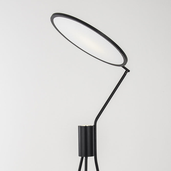 Nordic Black Iron Disc Acrylic Floor Lamp