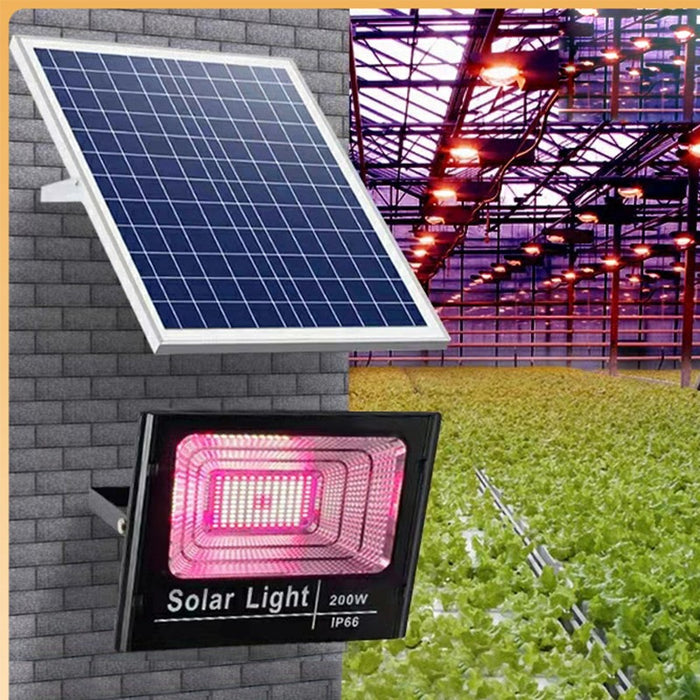 Solar Powered Plant Growth Lamp
