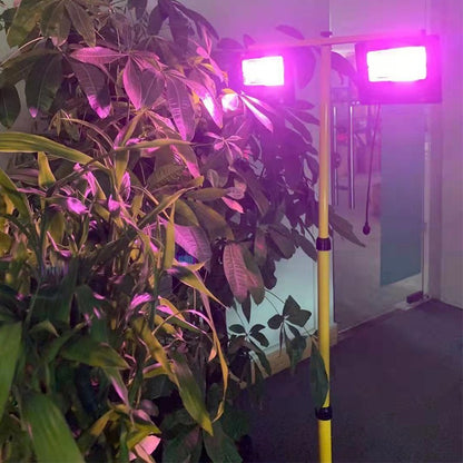 Solar Powered Plant Growth Lamp