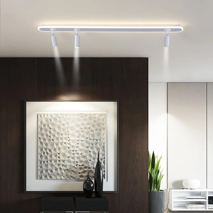 Acrylic White Strip Led Ceiling Lights With Spotlight